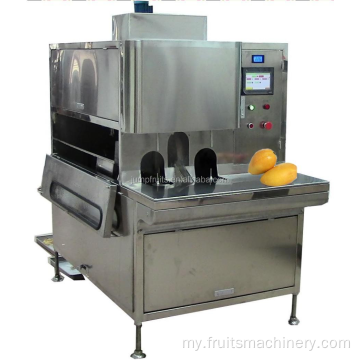 MAngo Curee Processer Processing လိုင်း Mango ဖျော်ရည်ပြုလုပ်ခြင်းစက်